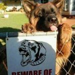 Lo que se esconde detrás de un cartel de "Cuidado con el perro"
