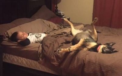 Durmiendo en la cama con el perro a pierna suelta…