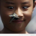 Foto de una mariposa posada en la nariz de un niño