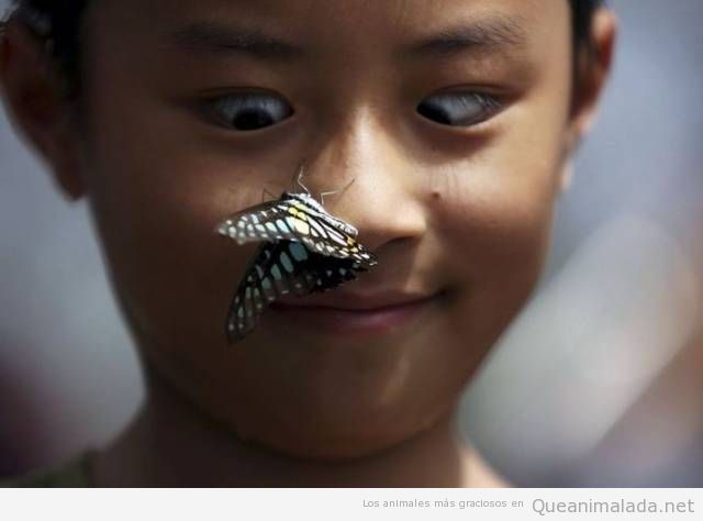 La cara de cuando se te posa una mariposa en la nariz…