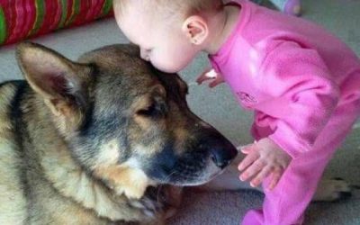 El beso más tierno del mundo: de un bebé a un perro