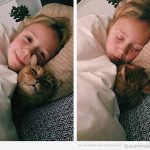 Foto bonita niña y gato durmiendo juntos