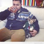 Foto graciosa hombre y perro con jerséis en Navidad