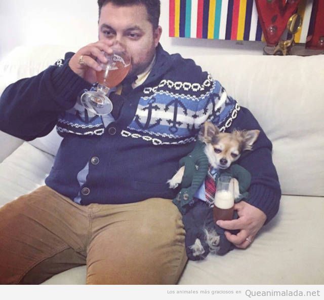 Foto graciosa hombre y perro con jerséis en Navidad