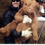 Felicidad es tener a un bebé de vaca de las Highlands en brazos!