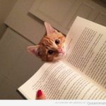 Hola! Qué lees?