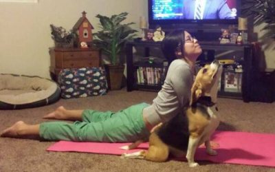 y por eso en yoga a esta postura le llaman la del perro boca arriba