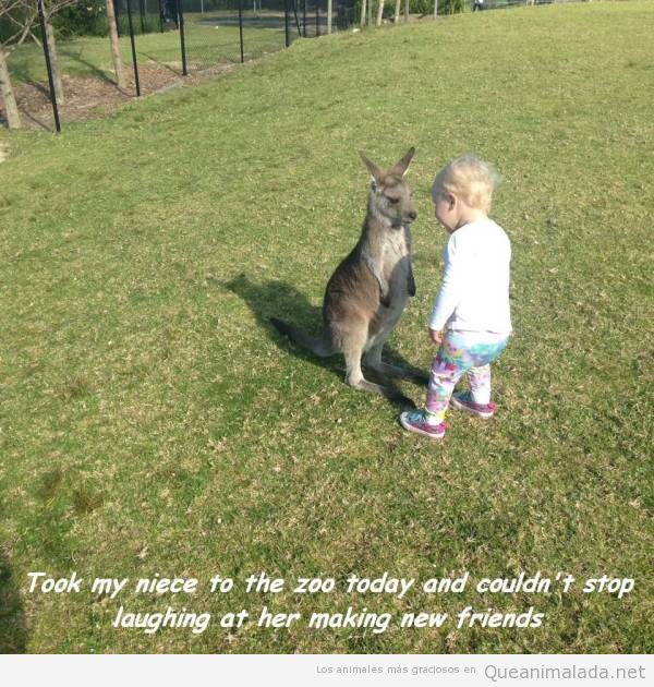 Foto graciosa canguro y niño pequeño