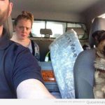 Foto graciosa novia y perro en el coche