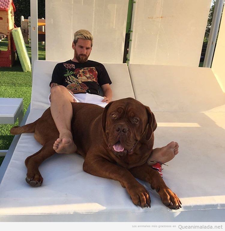 Fotos evolución perro de Messi en 9 meses 4