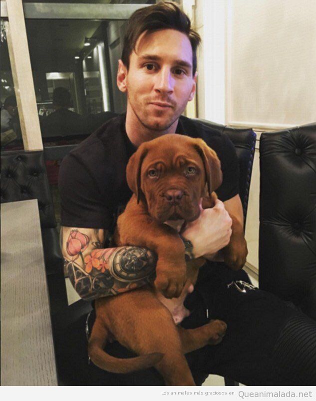 Fotos evolución perro de Messi en 9 meses 1