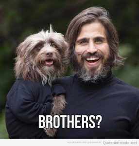 Foto bonita de un hombre y un perro que parecen hermanos