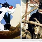 Tom & Jerry en la vida real