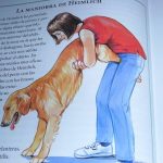 maniobra de heimlich para perros