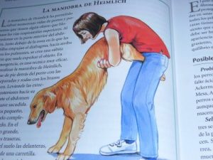 maniobra de heimlich para perros