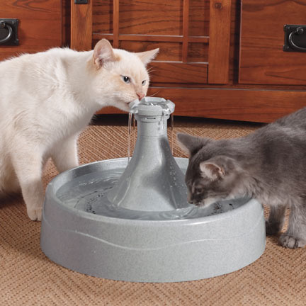 Bebedero fuente gatos