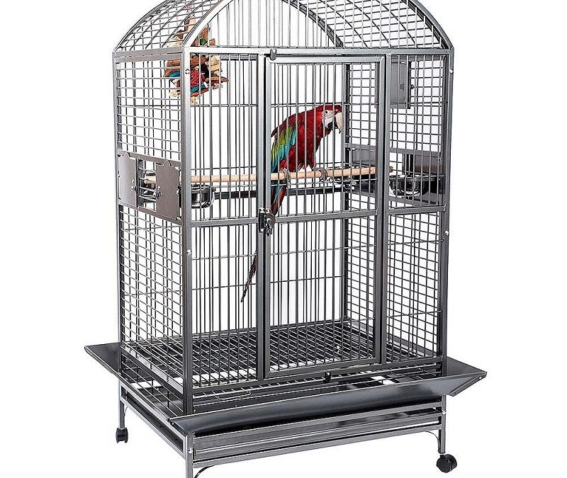 Tipos de jaulas para pájaros