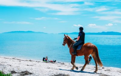 Montar a caballo puede ayudar a tu salud mental y física