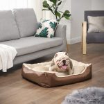 Consejos para elegir una cama para perros