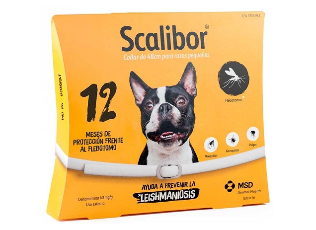 ¿Por qué comprar un collar Scalibor para tu perro?