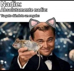 Meme gato regala ratón