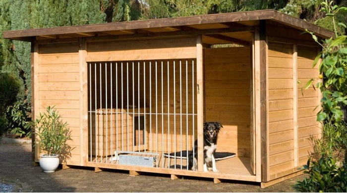 Las mejores casas de madera para perros : ¿Qué deben tener?